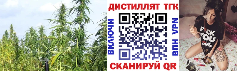 купить наркоту  Заволжск  ТГК концентрат 